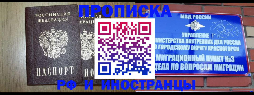 прописка в квартире в Химках